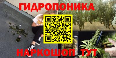МДПВ Кунгур